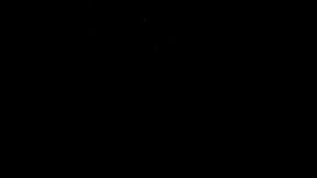 Se han producido diferentes homenajes a Kirk.