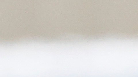 Carroll será compensada en concepto de daños y perjuicios.