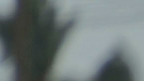 Alrededor de 18,000 personas han sido evacuadas por las torrenciales lluvias.