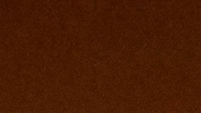 Al terminar la grabación, Kraus abandonó el edificio de CBS6 y fue puesto inmediatamente bajo custodia policial.