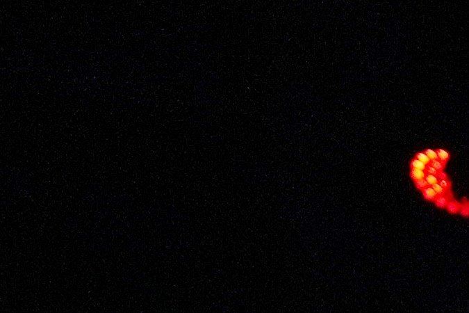 David Benavídez celebrando su victoria ante David Morrell.