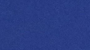 Tisch celebró la constante disminución de asesinatos, tiroteos y otros crímenes en la ciudad de Nueva York, asegurando que los agentes del NYPD son los mejores en su trabajo.