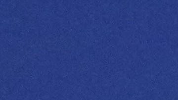 Tisch celebró la constante disminución de asesinatos, tiroteos y otros crímenes en la ciudad de Nueva York, asegurando que los agentes del NYPD son los mejores en su trabajo.