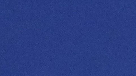 Tisch celebró la constante disminución de asesinatos, tiroteos y otros crímenes en la ciudad de Nueva York, asegurando que los agentes del NYPD son los mejores en su trabajo.