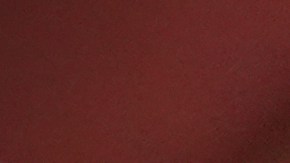 El hombre publicó en varias redes sociales los datos de la empleada de ICE.