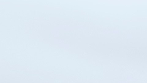 Trump se burló en línea y aseguró que la prohibición de 2021 era "ilegal", pero no lo era, y la disputa era un caso civil, no penal.