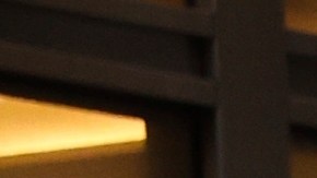 Las causas oficiales y las formas de sus muertes serán determinadas por la oficina del médico forense, y la División de Investigación de Fuerza del departamento está investigando el caso.