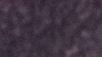 Presentan el cinturón para la pelea entre Canelo vs Crawford.