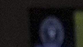 Extensión de Messi sería "una noticia tremenda para la MLS" según Javier Mascherano