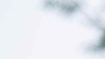 El candidato demócrata a la alcaldía de Nueva York, Zohran Mamdani, habla durante una conferencia de prensa frente al edificio federal Jacob K. Javits, el jueves 7 de agosto de 2025, en Nueva York.