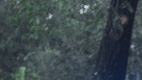 Una víctima de un tiroteo es trasladada en ambulancia desde el lugar del incidente durante el Desfile del Día de las Indias Occidentales.