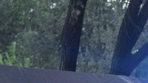 Una víctima de un tiroteo es trasladada en ambulancia desde el lugar del incidente durante el Desfile del Día de las Indias Occidentales.