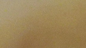 Existen expectativas de una reunión directa entre Putin y Zelenski.