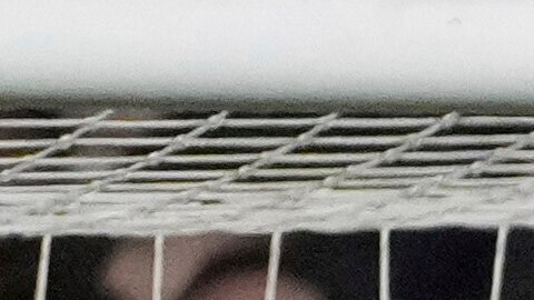 Lionel Messi fue el máximo goleador de las Eliminatorias Sudamericanas.
