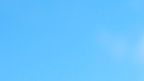 Protesta en Chicago contra despliegue de tropas militares