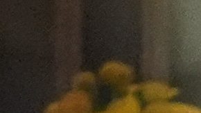 De izquierda derecha: Karoline Leavitt, Pam Bondi, Donald Trump, Arabella Kushner and Jared Kushner durante la final del US Open.