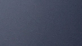 El presidente Donald Trump expresó su “dolor e indignación” por la muerte de Charlie Kirk.