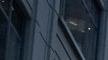 En solo dos semanas, más de 550 inmigrantes irregulares han sido detenidos por ICE.