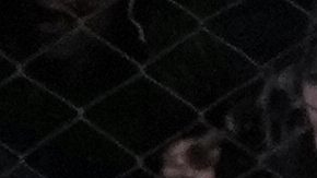 Jugadores de Bolivia celebran su pase al repechaje del Mundial 2026.