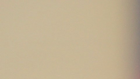 Trump señaló que "el legado de Kirk perdurará".