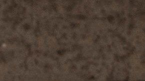 ICE en Portland, Oregon