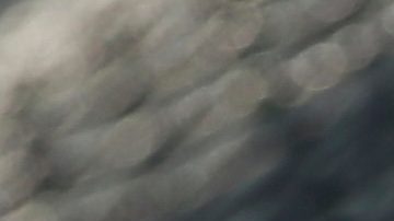 Autoridades allanan por segunda vez hotel donde murió hijo de Brett Gardner en Costa Rica