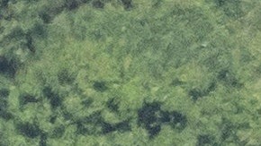 Despliegue militar de EE.UU. en Puerto Rico