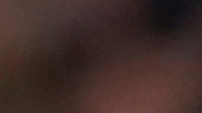 Leyenda de Argelia defiende a Gianluigi Donnarumma tas su salida del PSG.