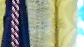 Trump firma memo para desplegar la Guardia Nacional en Memphis