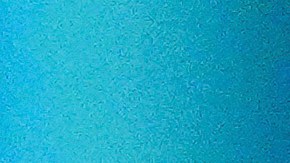 El presidente Donald Trump habla en la Oficina Oval de la Casa Blanca, el lunes 15 de septiembre de 2025, en Washington.