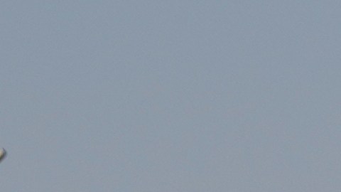 Israel viene de proponer anexarse el 82% de Cisjordania.