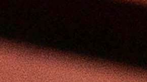 Líder de los demócratas en el Senado,Chuck Schumer