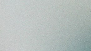 Mientras la orden del tribunal de distrito esté vigente, Noem debe permitir que más de 300,000 ciudadanos venezolanos permanezcan en EE.UU.