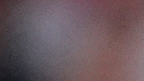 Xabi Alonso reconoce las cualidades de Vinícius Jr.