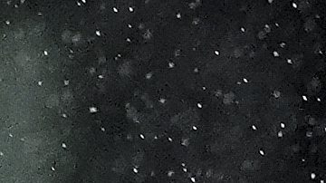 Messi maneja el balón durante el encuentro ante DC United.