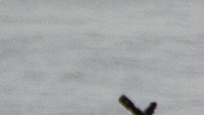 Las incautaciones incluyen aproximadamente 8,700 libras de cocaína.