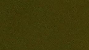 Cuando Emmanuel Macron, anunció el reconocimiento, la sala prorrumpió en aplausos, con la delegación palestina en pie.