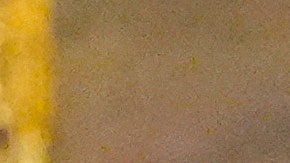 Secretario del HHS, Robert F. Kennedy Jr.