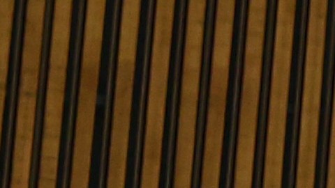 El presidente colombiano, Gustavo Petro, en la Asamblea General de la ONU