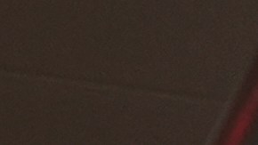 Yankees celebrando la clasificación a playoffs.