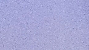 Adelita Grijalva, representante de Arizona