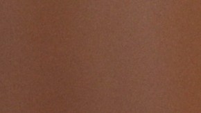 Funcionarios afirman que Rusia actúa con cuidado y no con lentitud.