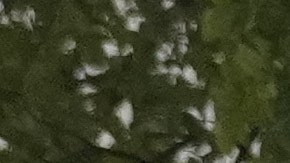 Al menos dos personas murieron en el ataque.