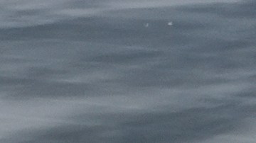 ICE confirmó que un mexicano está entre los heridos.