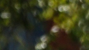 Agentes del FBI investigan la escena del crimen cerca de una oficina del Servicio de Inmigración y Control de Aduanas de Estados Unidos (ICE) el jueves 25 de septiembre de 2025 en Dallas.