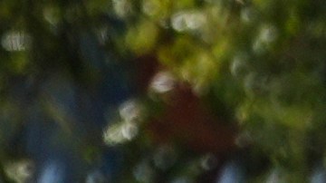 Agentes del FBI investigan la escena del crimen cerca de una oficina del Servicio de Inmigración y Control de Aduanas de Estados Unidos (ICE) el jueves 25 de septiembre de 2025 en Dallas.