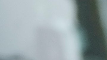 Lewis Hamilton se pierde pruebas con Ferrari por el grave estado de salud de su perro Roscoe