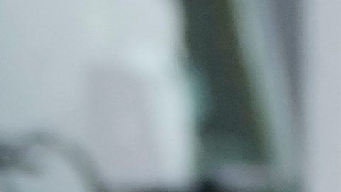 Lewis Hamilton se pierde pruebas con Ferrari por el grave estado de salud de su perro Roscoe