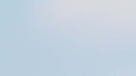 Trump señala que buscan potenciar la industria hecha en EE.UU.