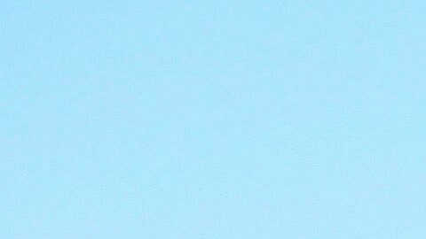 El atacante murió tras enfrentarse con las autoridades.